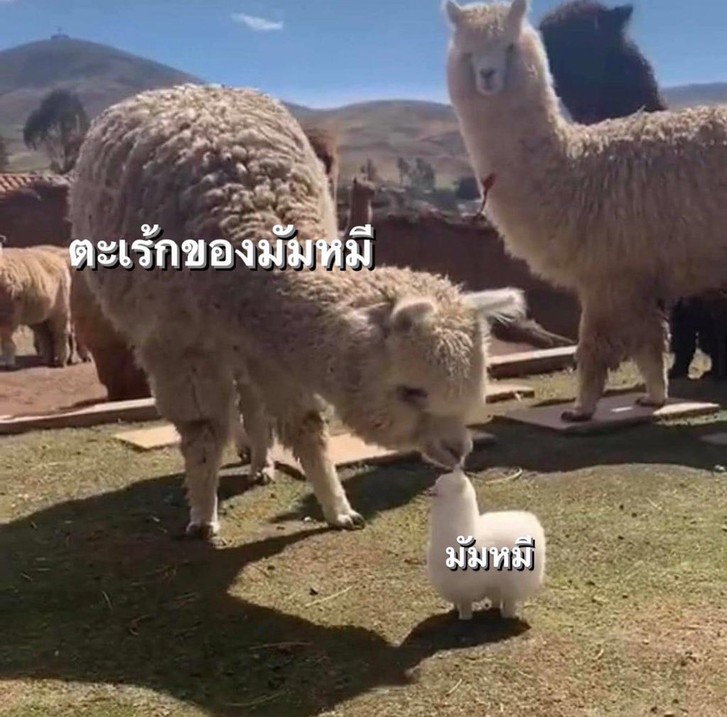 ฉันและลูกๆ ของฉัน....