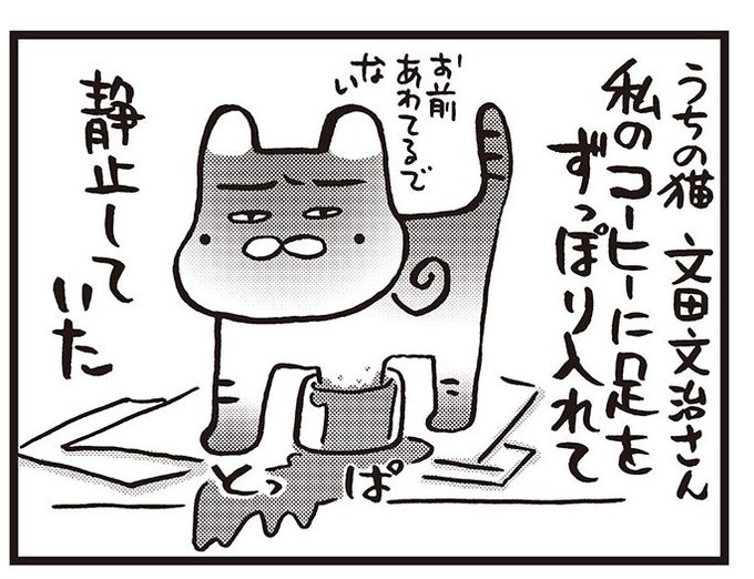 Conversation Between 西原理恵子 And Weekly Taishu 1 Whotwi Graphical Twitter Analysis