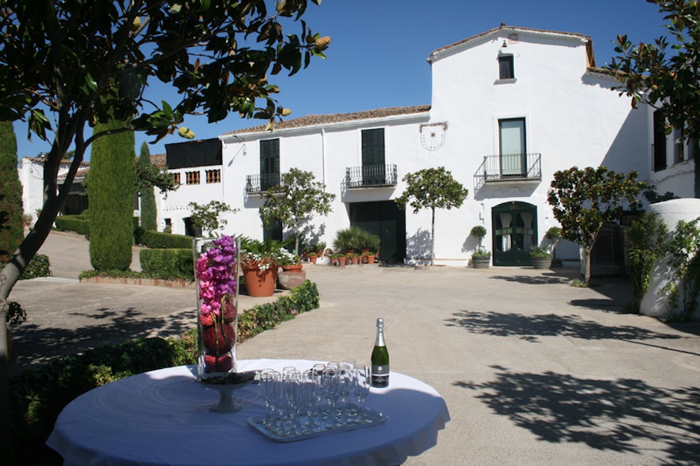Avui felicitem 👏 <a href="/fincacanestella/">Bodegues Can Estella</a>  de 📌Sant Esteve Sesrovires per l'obtenció d'una medalla 🎖️ Platinum a Decanter, un dels concursos de vins més prestigiosos del món,  amb el  seu🍾  Rabetllat i Vidal Gran Reserva Xarel·lo. 

<a href="/AjSesrovires/">Ajuntament Sant Esteve Sesrovires</a> 
#BaixLlobregat #TurismeBaixLlobregat