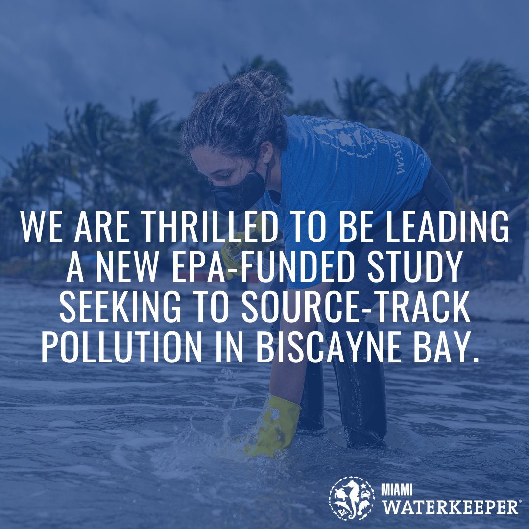 Biscayne Bay has a #pollution problem! We're thrilled to be leading a new @EPA-funded study source-tracking pollution in #BiscayneBay with our grant partners @FIU, @umiamirsmas, Beta Analytic, and CIMAS. New EPA-Funded Research: Miami Waterkeeper & FIU to Lead Biscayne Bay Study