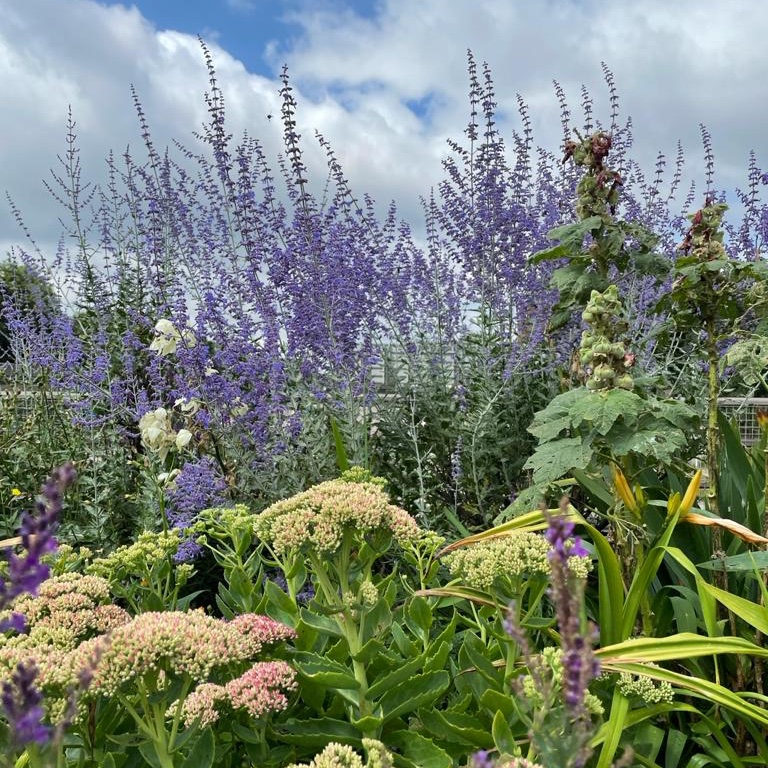 SWGardeners's tweet photo. The Gardeners were out and about yesterday. Lots of lovely comments. One lady stopped with her little daughter and said that every time she passed 'our' flowerbeds she felt 'at peace'. We couldn't ask for anything more. #SouthWoodford https://t.co/owPEo4It8Y