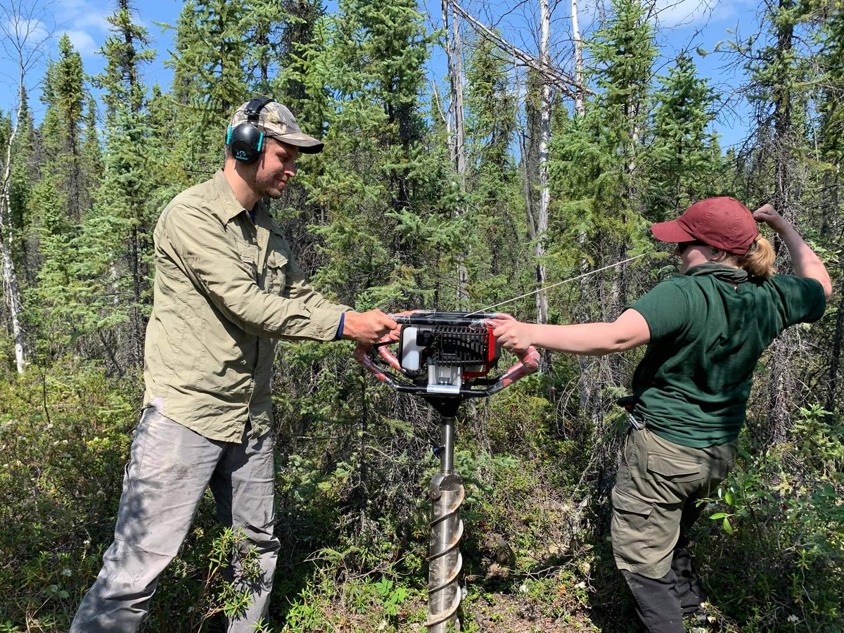 Raquel Alfaro Sánchez tweet media