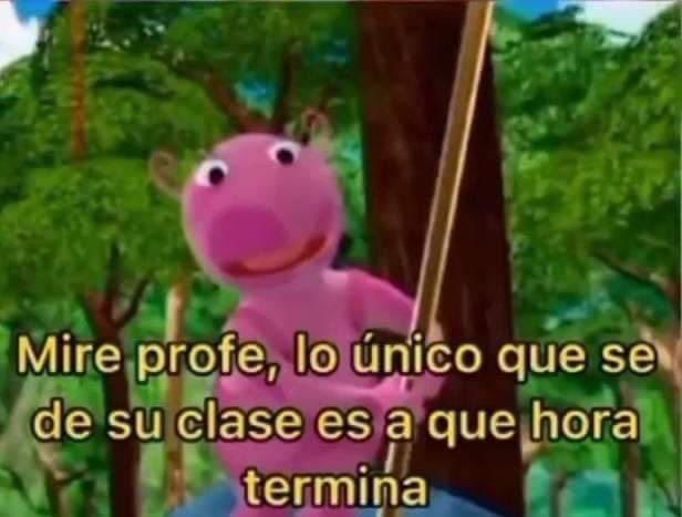 intensø tweet media