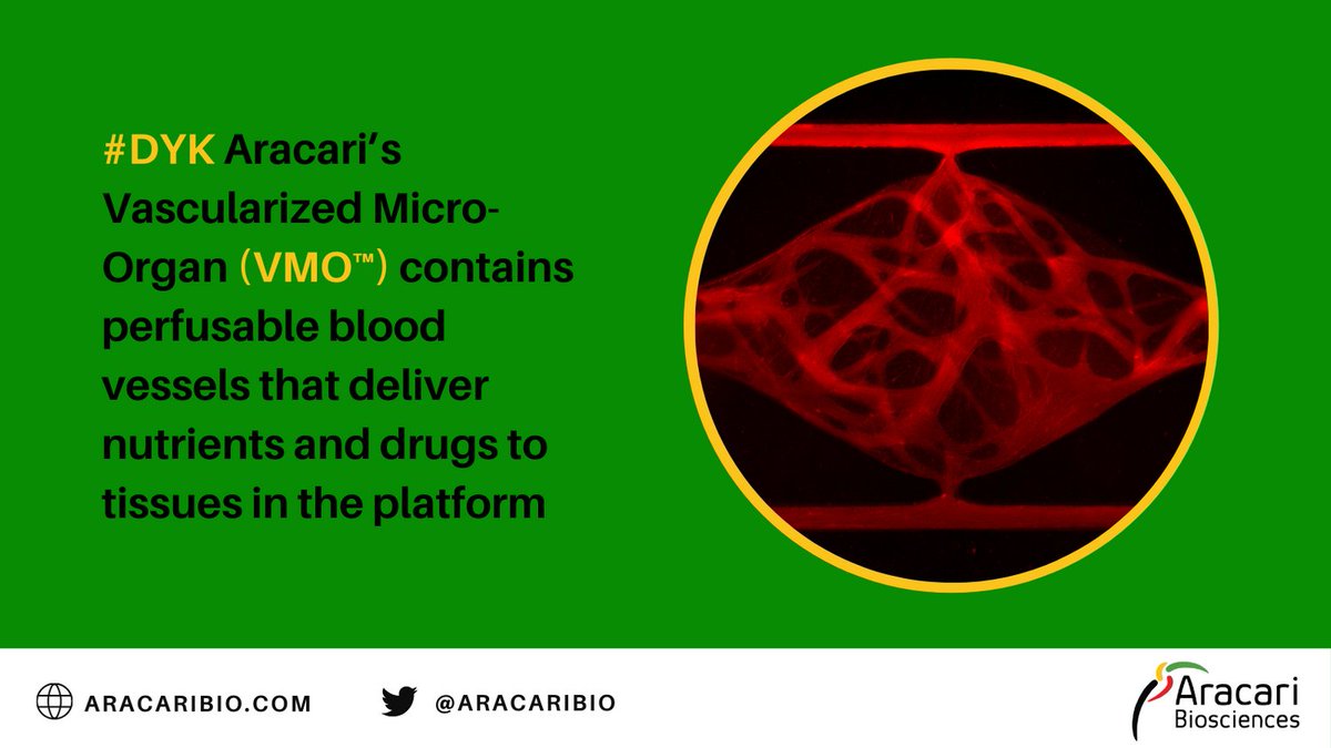 Aracari Biosciences tweet media