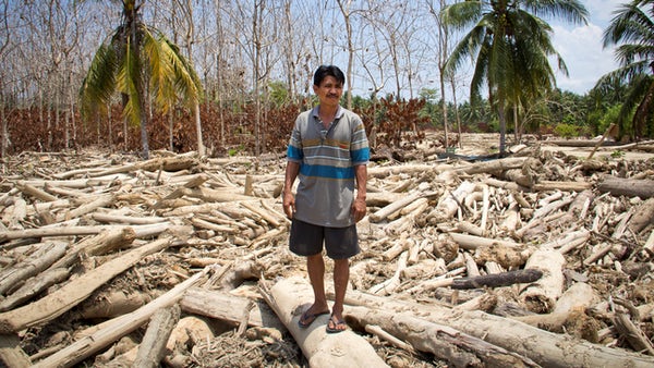 IFAD's tweet photo. Climate change, shrinking habitats, vanishing flora and fauna, and limited resources are a threat to a stable supply of food.
Investing in #ClimateAction means investing in resilient #FoodSystems https://t.co/zKJvXs8Uua