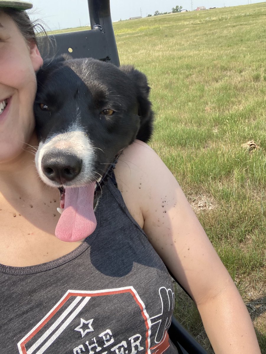 Quinnohler's tweet photo. Tell me you love dogs without telling me you love dogs... #thisisntmydpg #coveredinmud https://t.co/fer04l22A0