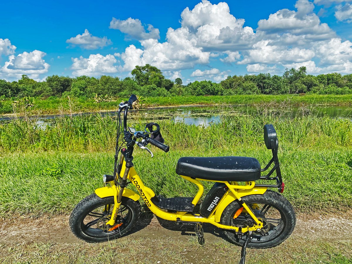 WhizCycle tweet media