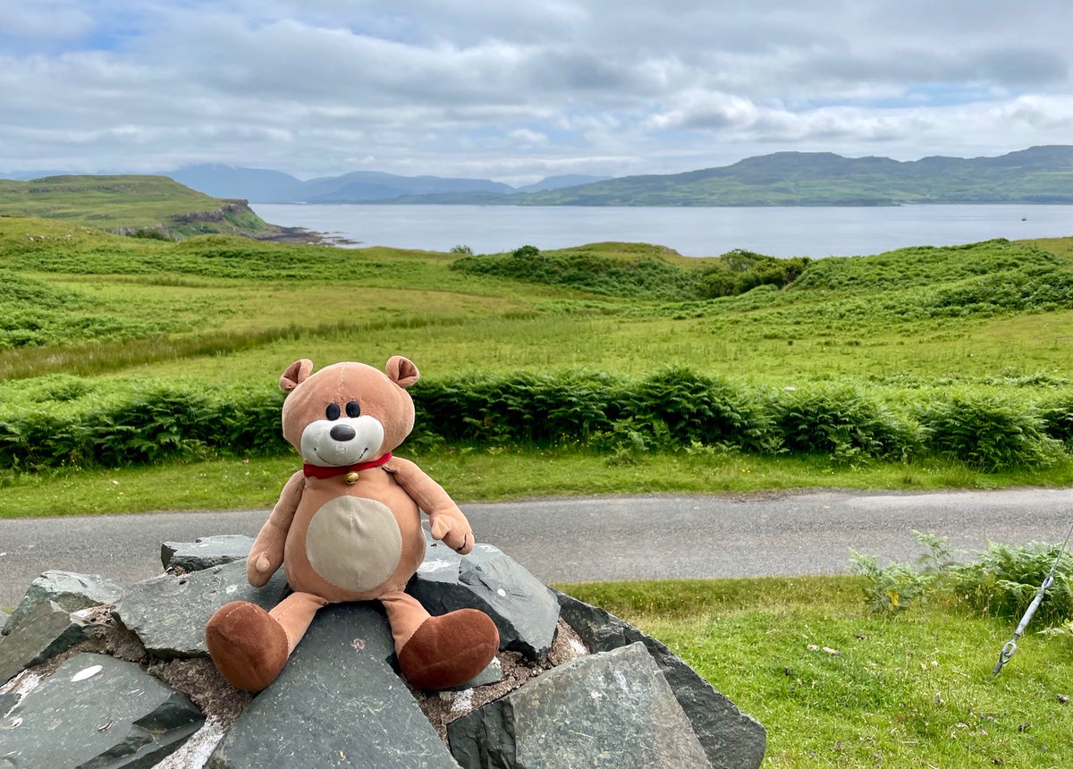 RealChubbyBear's tweet photo. Eeeeeee! Chubby is back on da Isle of Mull. Verwi nice. 🧸 https://t.co/74xha691wu