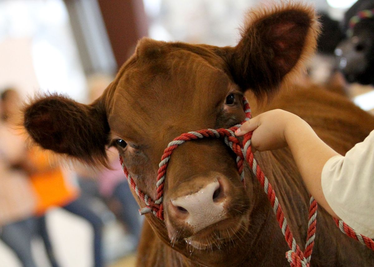 GlassBarn's tweet image. 🔥Bringing the Heat this Summer🔥 - Spice up your life with these recipes and happenings in this edition of Sharing the Farm Table!

mailchi.mp/7170d8dd61ca/b…