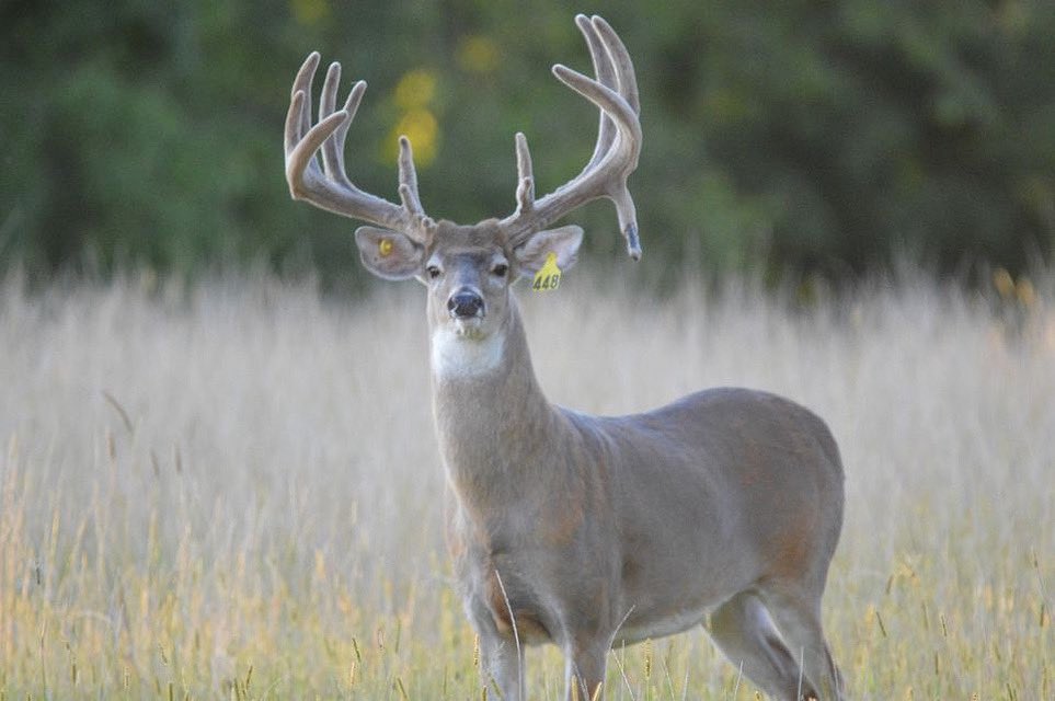 Well hello there, handsome!