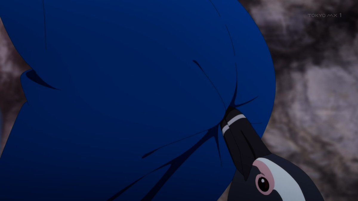 アニミスク on X: ヒロインがペンギンに浣腸される斬新なアニメ #白い砂のアクアトープ t.coBQQDAMPBT8  X