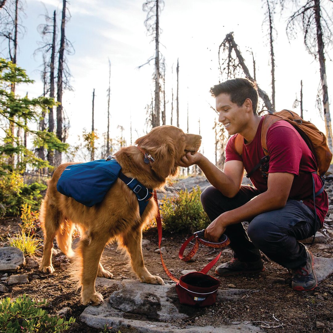 Zena Conkey tweet media