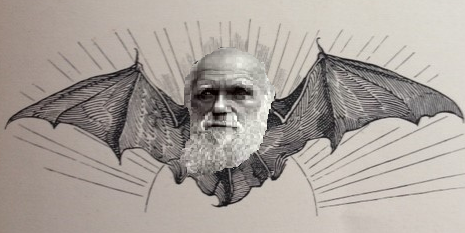 OnNavalTimber's tweet photo. Plagiarists are like vampire bats: https://t.co/vsWM3tEioz