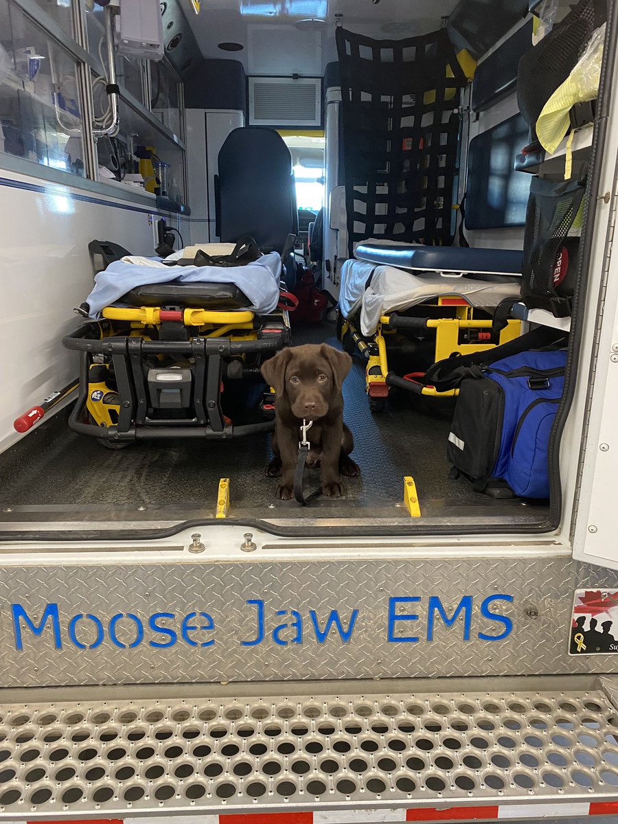 Medavie Health Services West - Moose Jaw tweet media