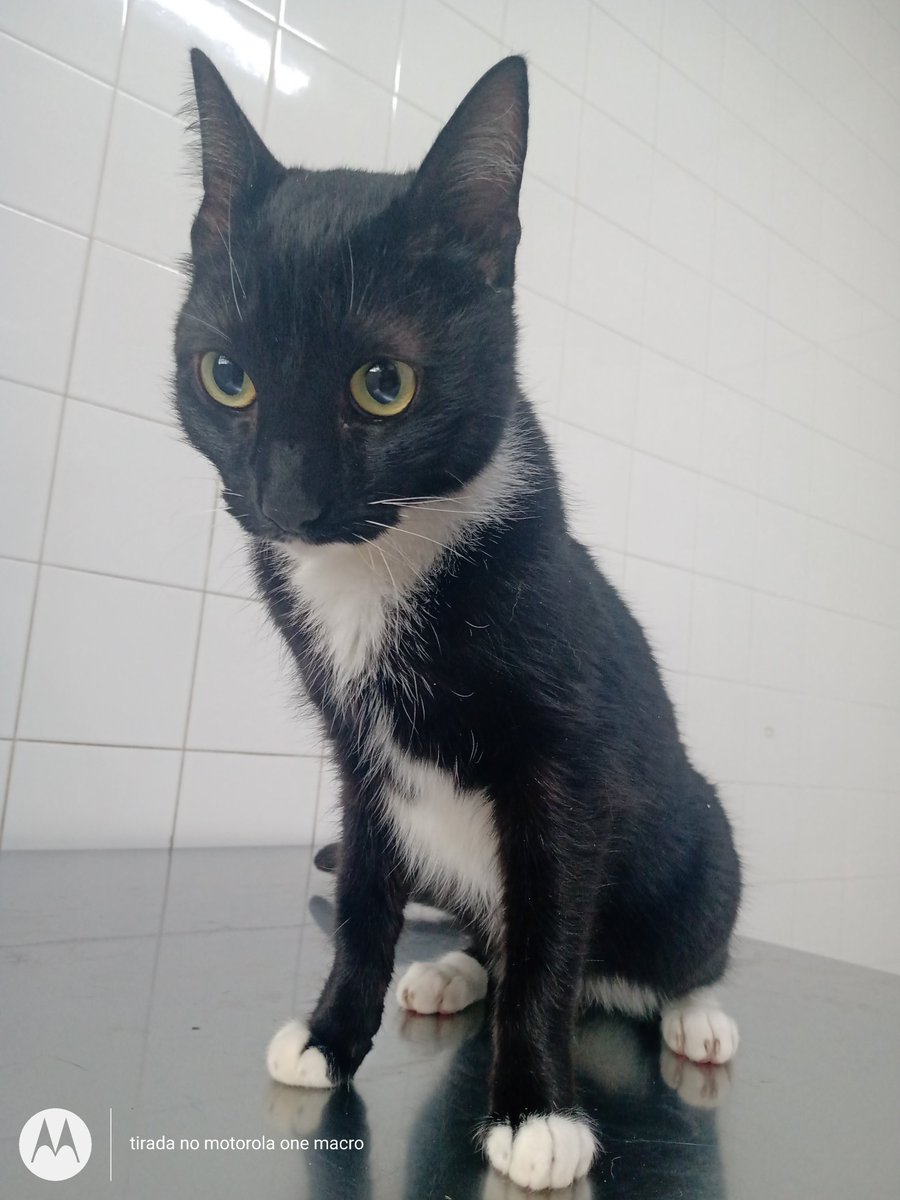 Ey sou o negresco, e nesse momento estou internado com obstrução urinária, meu papai e minha mamãe não podem arcar com os custos da minha internação, se você puder me ajudar com qualquer valor ou compartilhando este post eu vou ser muito agradecido.

vaka.me/2247480