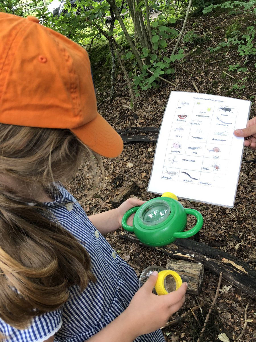 SevenoaksPri's tweet photo. Year 2 had an amazing time at Wakehurst Place recently. Children explored life in ponds, went on a minibeast safari and a pollination trail π #SPSValues #courage #funtoexplore #beoutdoors @wakehurst_kew https://t.co/6i0aoH27yx