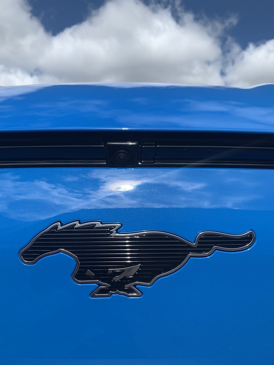 Bianca Richards tweet media