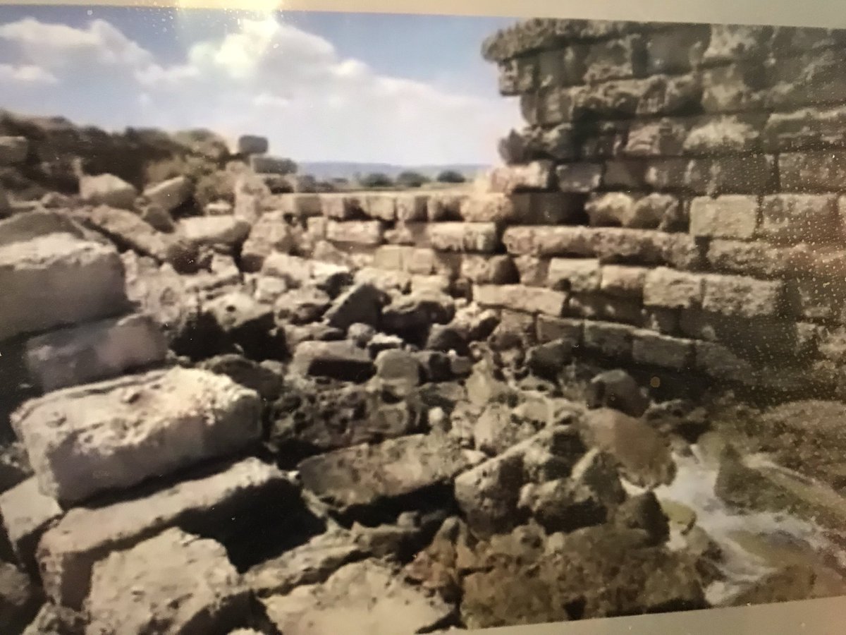 atastefortravel's tweet photo. Looking for Italy beyond its major attractions? Archeologist @DariusAryaDigs shares his favourite authentic, intriguing sites in less-travelled Italy in Puglia, Umbria, Sardinia, Sicily, Procida (cultural capital of Italy in 2022) &amp; more #Italy #slowtravel #iccoCanada #UTILGroup https://t.co/UfN0RLarUh