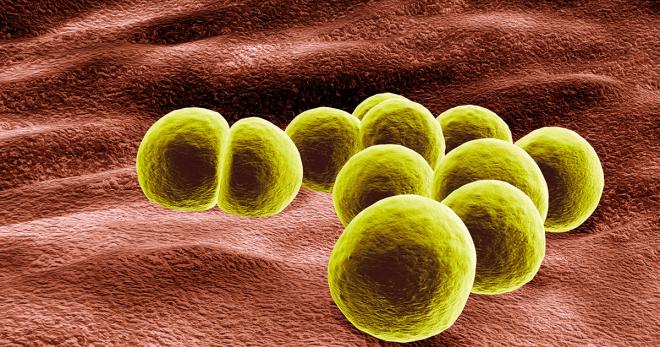 IBT_inc's tweet photo. Safety and Immunogenicity of a 4-Component Toxoid-Based Staphylococcus aureus Vaccine in Rhesus Macaques

#researchanddevelopment #research #vaccinedevelopment #biotechnology #VaccineRollOutSA 

https://t.co/vp8luw54rq https://t.co/aA0hlNE319