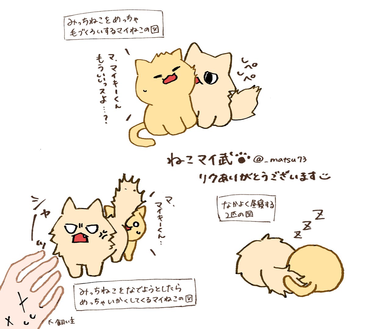 マイ武 (ねこのすがた) 