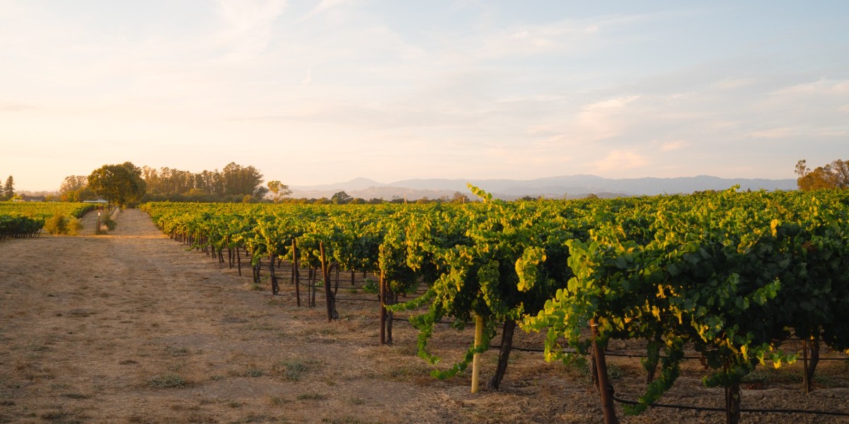 Our guiding principle has been and will forever be, to let the land speak. It is a privilege to be able to craft award-winning wines that highlight the unique terroir of the Russian River Valley.⁣⁣

📸: Adam Decker Photohraphy
