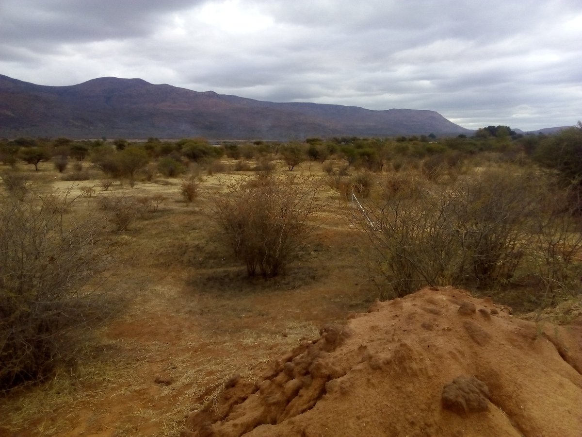 Official_Reitu's tweet image. Spent the day at that happy place today ☺... ..
#ClearMind #ClearThoughts #BigPlans #Farming #WorkingTheLand