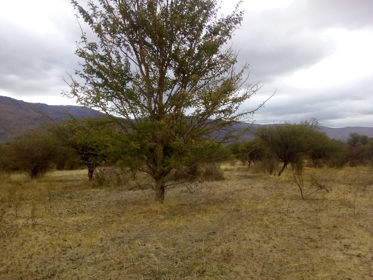 Official_Reitu's tweet image. Spent the day at that happy place today ☺... ..
#ClearMind #ClearThoughts #BigPlans #Farming #WorkingTheLand