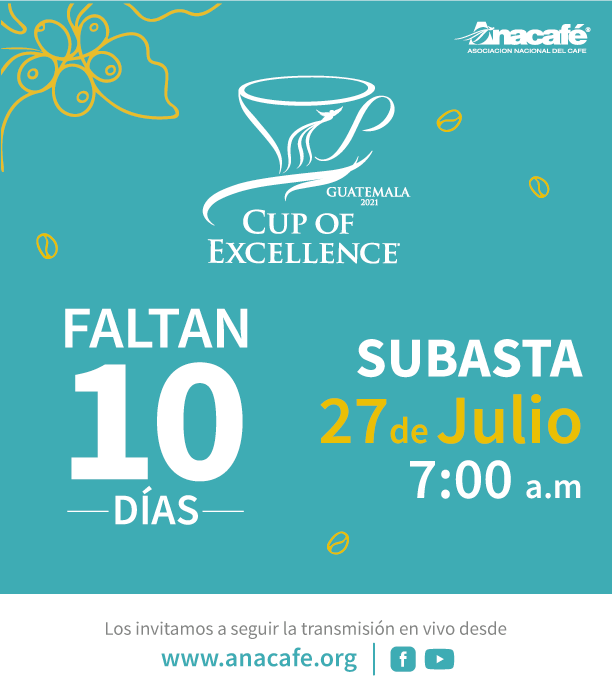 Subasta electrónica <a href="/cupofexcellence/">Cup of Excellence</a> Guatemala 2021 🇬🇹☕️

🗓 Martes, 27 de julio 2021
🕘 A partir de las 7:00 horas (CST)

▶️ Siga la transmisión en directo en nuestras diferentes plataformas:
facebook.com/anacafe
youtube.com/AnacafeGuatema…

#GuatemalanCoffees #CoEGuatemala