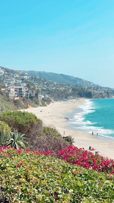 Florida its been fun but I miss waking up to this beautiful coast.. time to go home! ✈❤ https://t.co