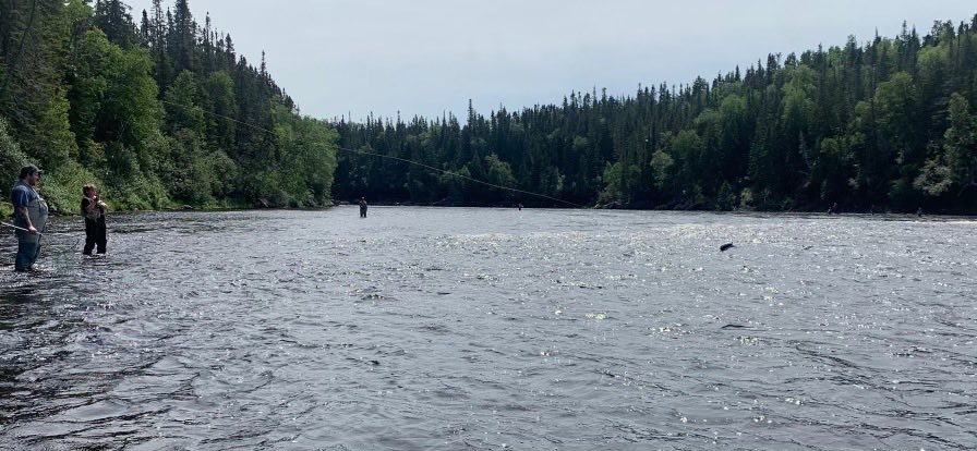 My son Stéphane Noseworthy catching his very first salmon July 02 at Big Falls.  #bigfalls #sirrichardsquirespark #salmonfishing2021