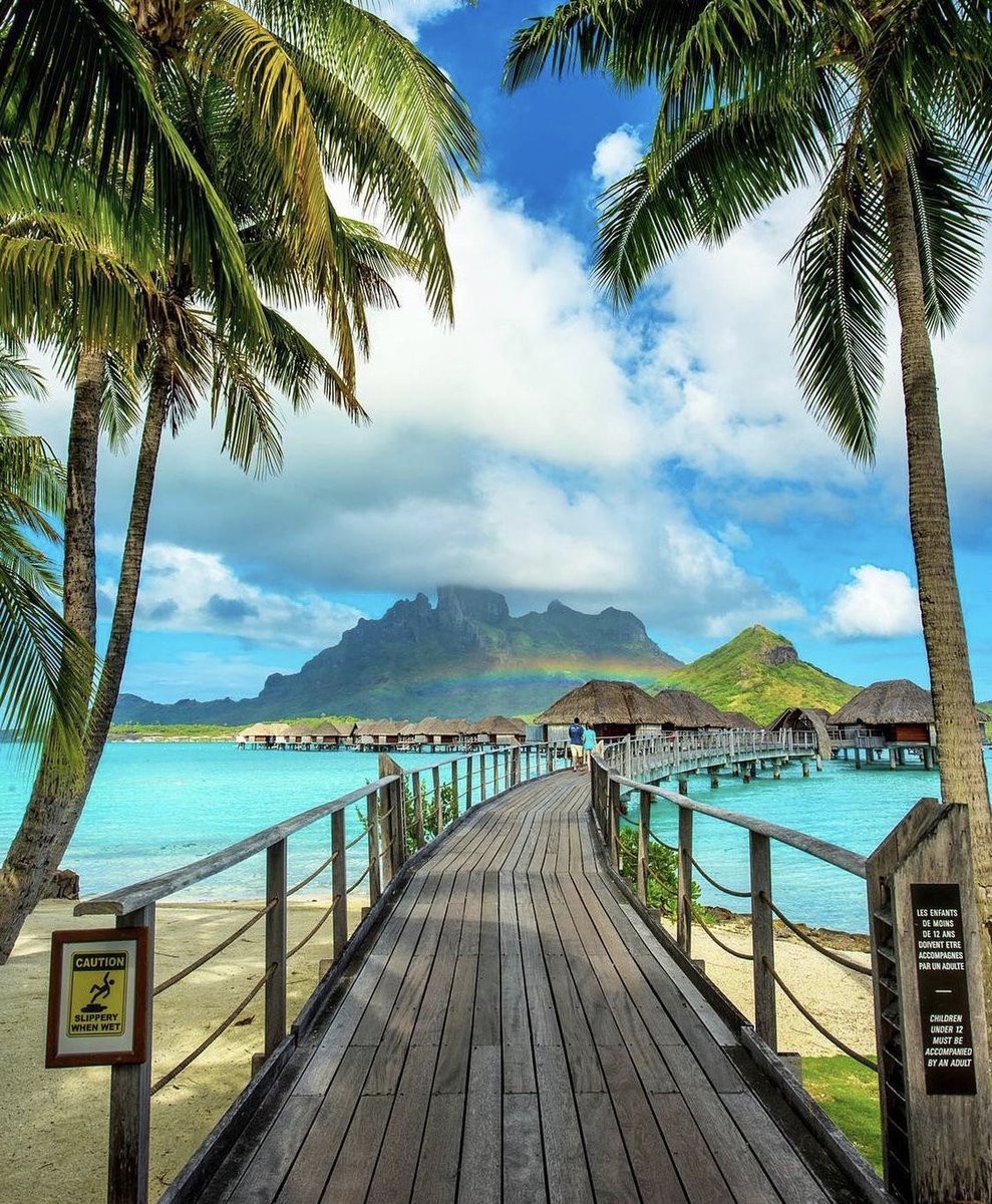 tmbIrpics's tweet image. Summer vibes in Bora bora , French Polynesia  🏝