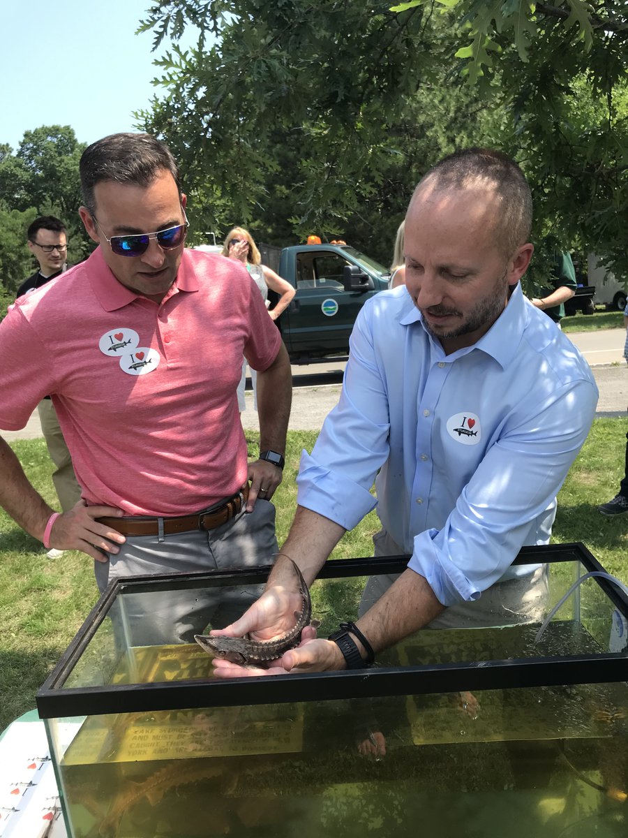 Today, with partners from <a href="/USGS/">USGS</a>, <a href="/USFWS/">U.S. Fish and Wildlife Service</a>. <a href="/BasilSeggos/">Basil Seggos🇺🇸🇺🇦</a> announced a historic milestone in the recovery of Lake #Sturgeon in NY. In May 2021, crew from USGS netted a nearly 70lb spawning female lake sturgeon in the Genesee River – the first in more than 50 years.