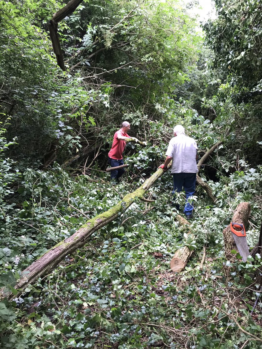 BroomhillPark_'s tweet photo. Big thanks to our #volunteers for all their hard work this morning; clearing a fallen tree, litter picking and scrub clear to keep paths accessible 👏👏👏.

#volunteer #community #localparks #myparktoday #getactive #woodland https://t.co/mDQtNkMKMG