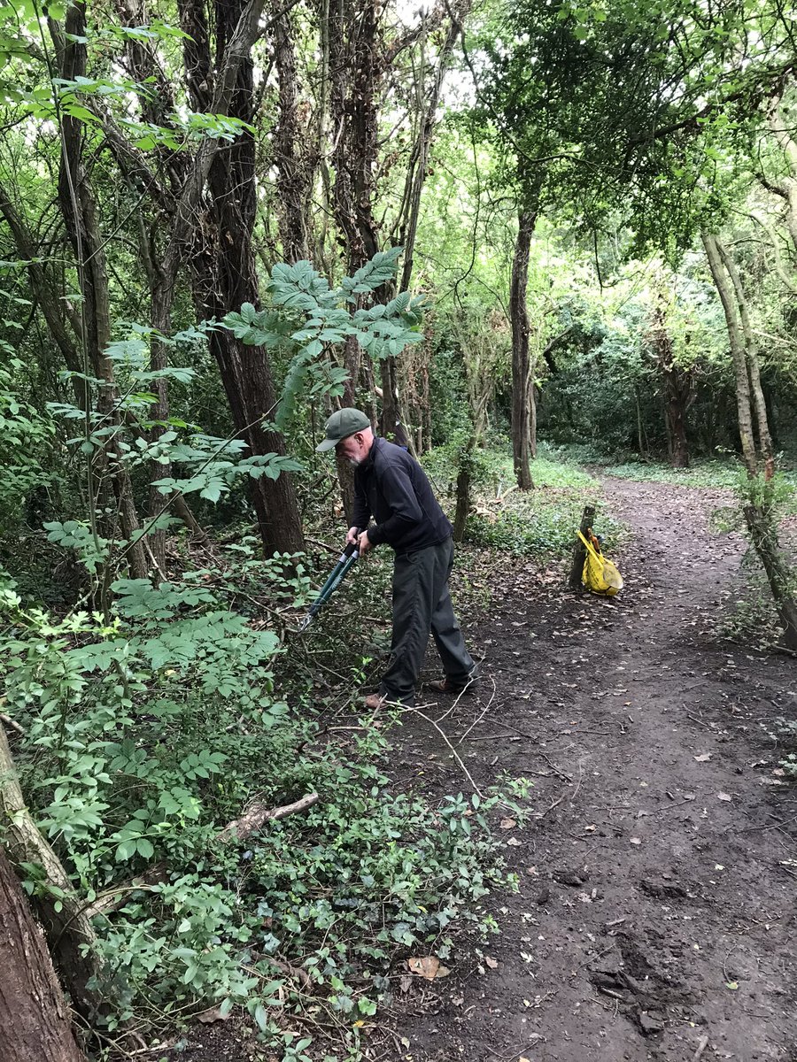 Big thanks to our #volunteers for all their hard work this morning; clearing a fallen tree, litter picking and scrub clear to keep paths accessible 👏👏👏.

#volunteer #community #localparks #myparktoday #getactive #woodland