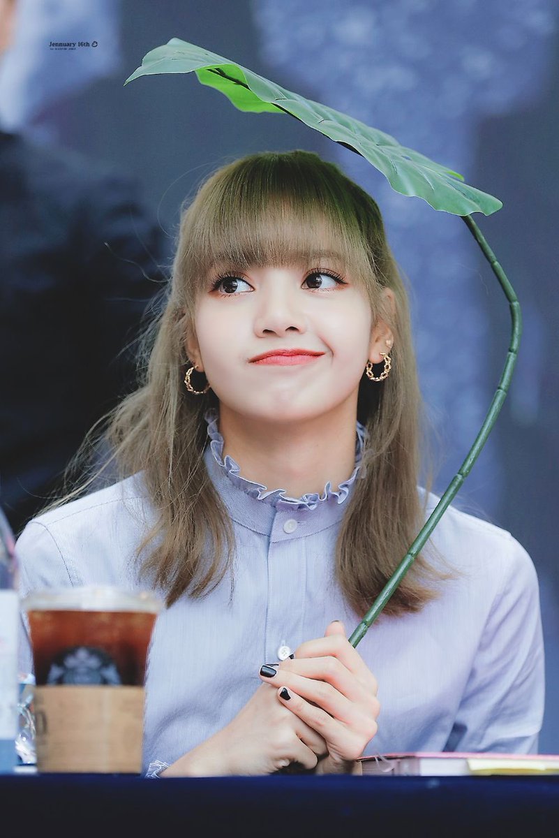 Jimjums_'s tweet photo. 🐣🐱🐱🦊❣️ https://t.co/8b3YYIa02X