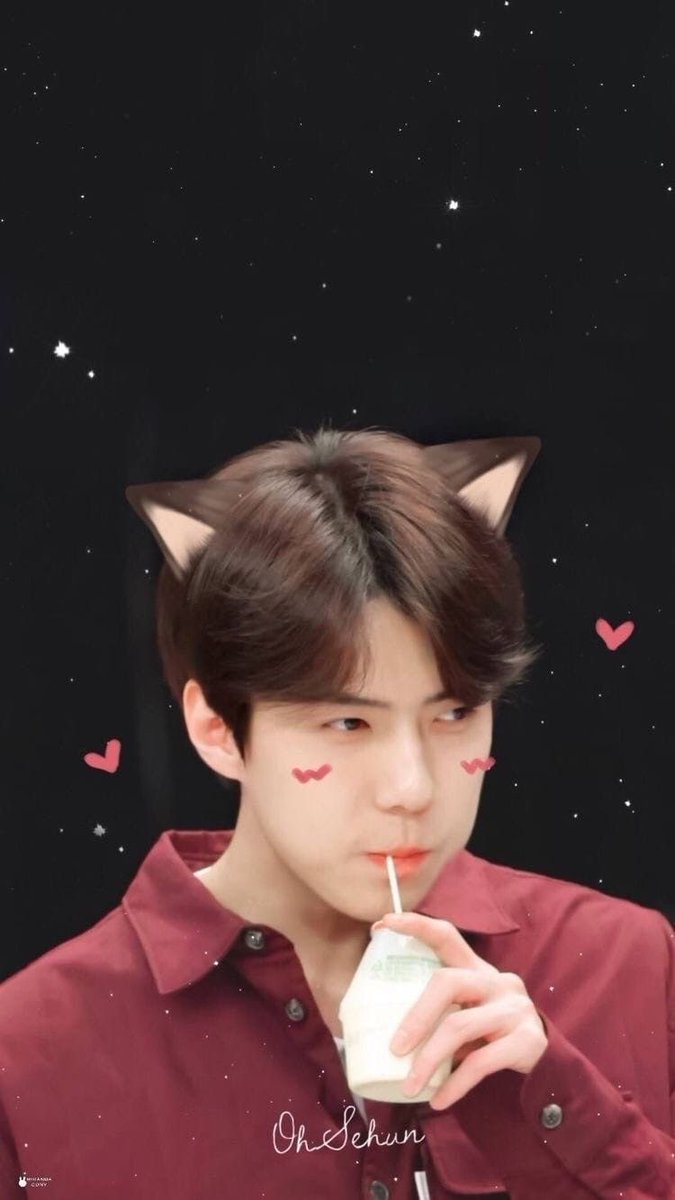 Jimjums_'s tweet photo. 🐣🐱🐱🦊❣️ https://t.co/8b3YYIa02X