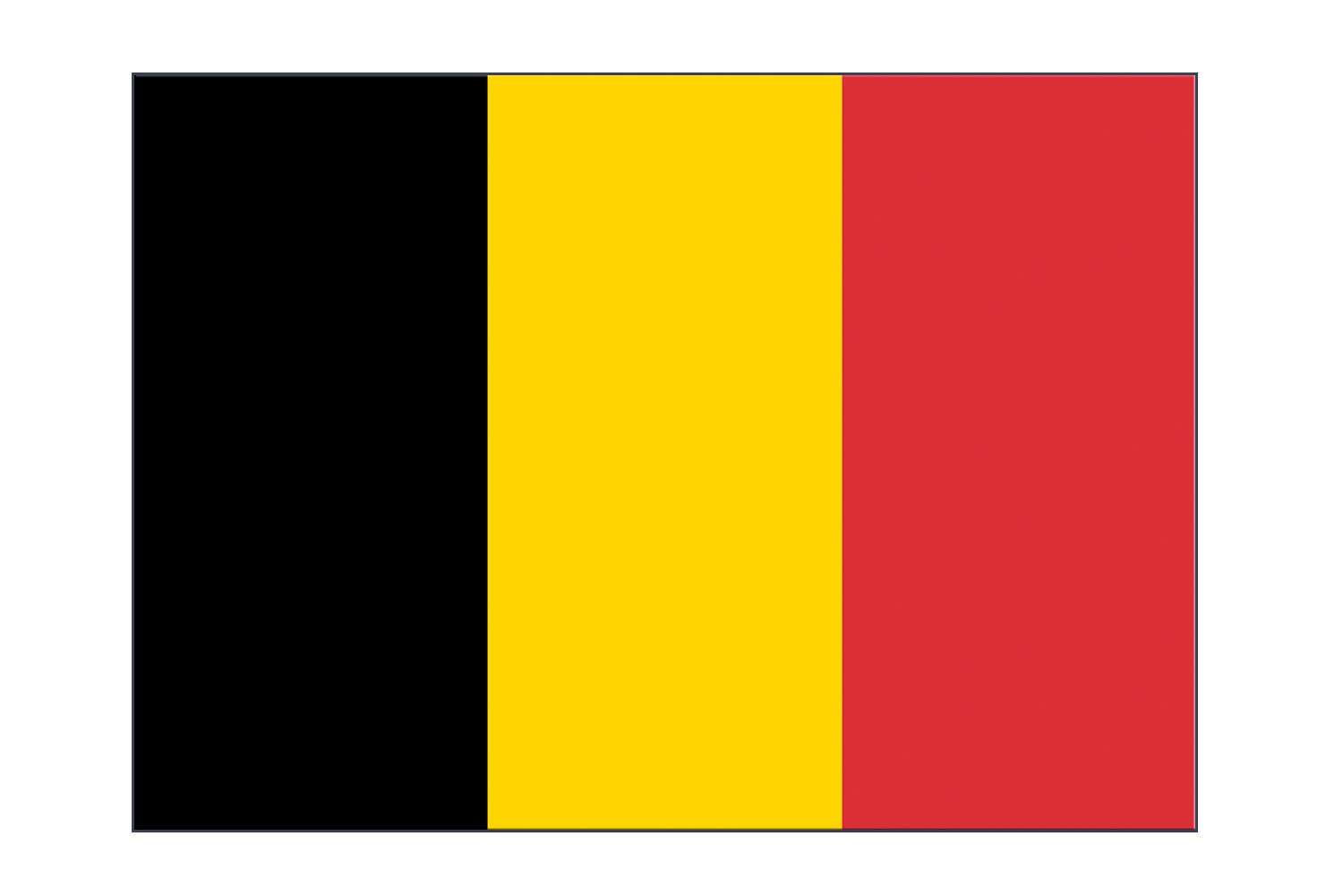Альтернативный флаг Бельгии