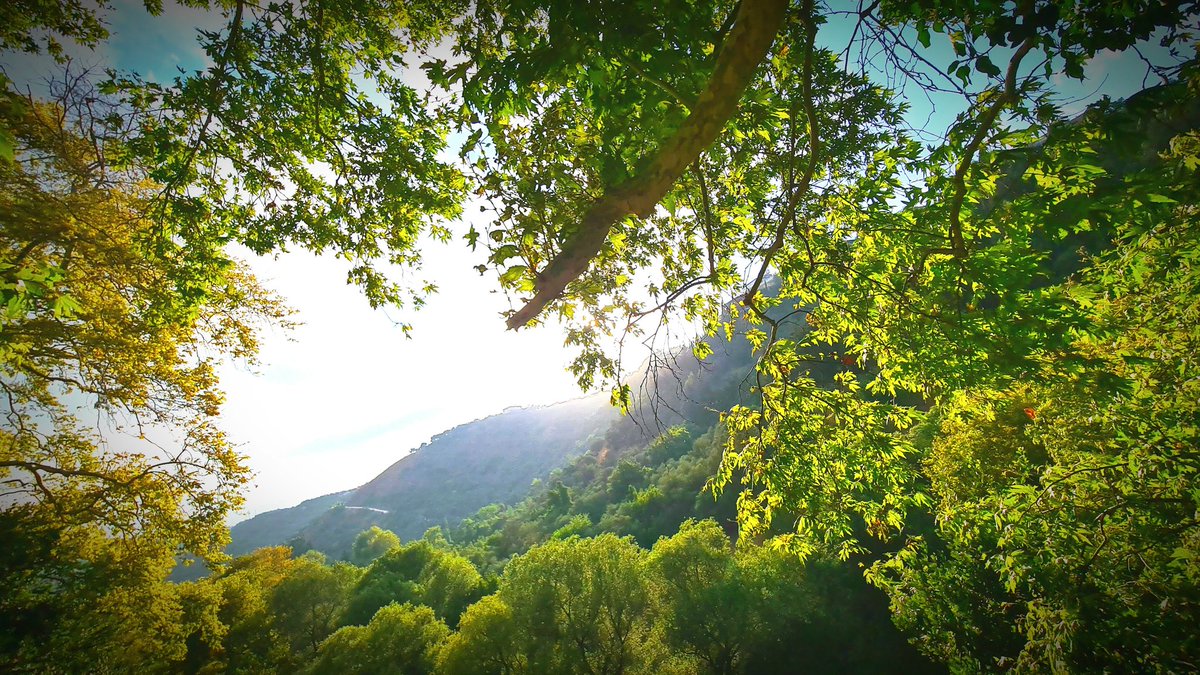 EmilieMurith's tweet photo. #nature #shoponline #photography #art #prints #shopping 

https://t.co/MalLLu4avm https://t.co/XdNjDVvWp3