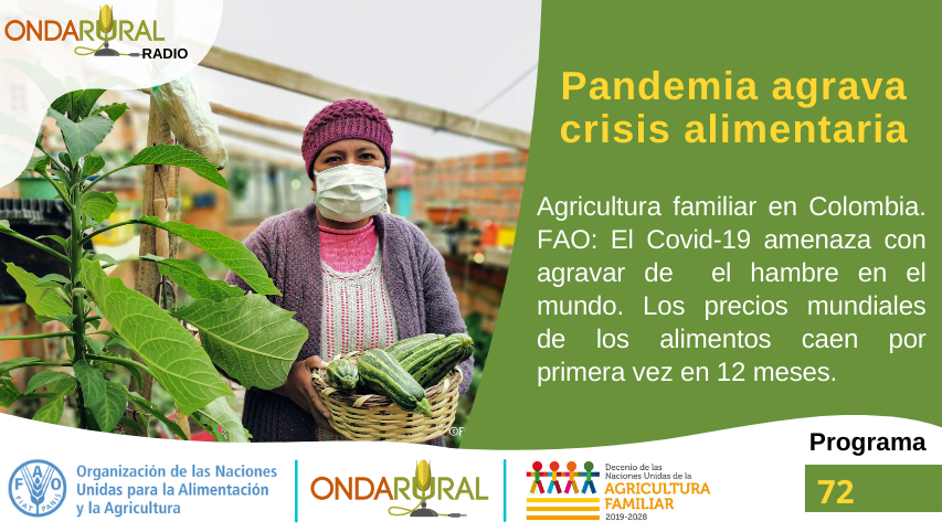 ondarural's tweet photo. 📣AL AIRE el #Programa72 de #OndaRuralRadio🎙
✅ Onda Rural lanzó Campaña de Comunicación sobre el Decenio de la #AgriculturaFamiliar👩🌾👩🌾
✅ Agricultura familiar en #Colombia, cómo superar la crisis
#EXPERIENCIA: La Feria Guancavilca👩🌾👨🌾
🎧Escúchanos▶️ https://t.co/kZo2BrC8H7 https://t.co/TLtEbZnAGY