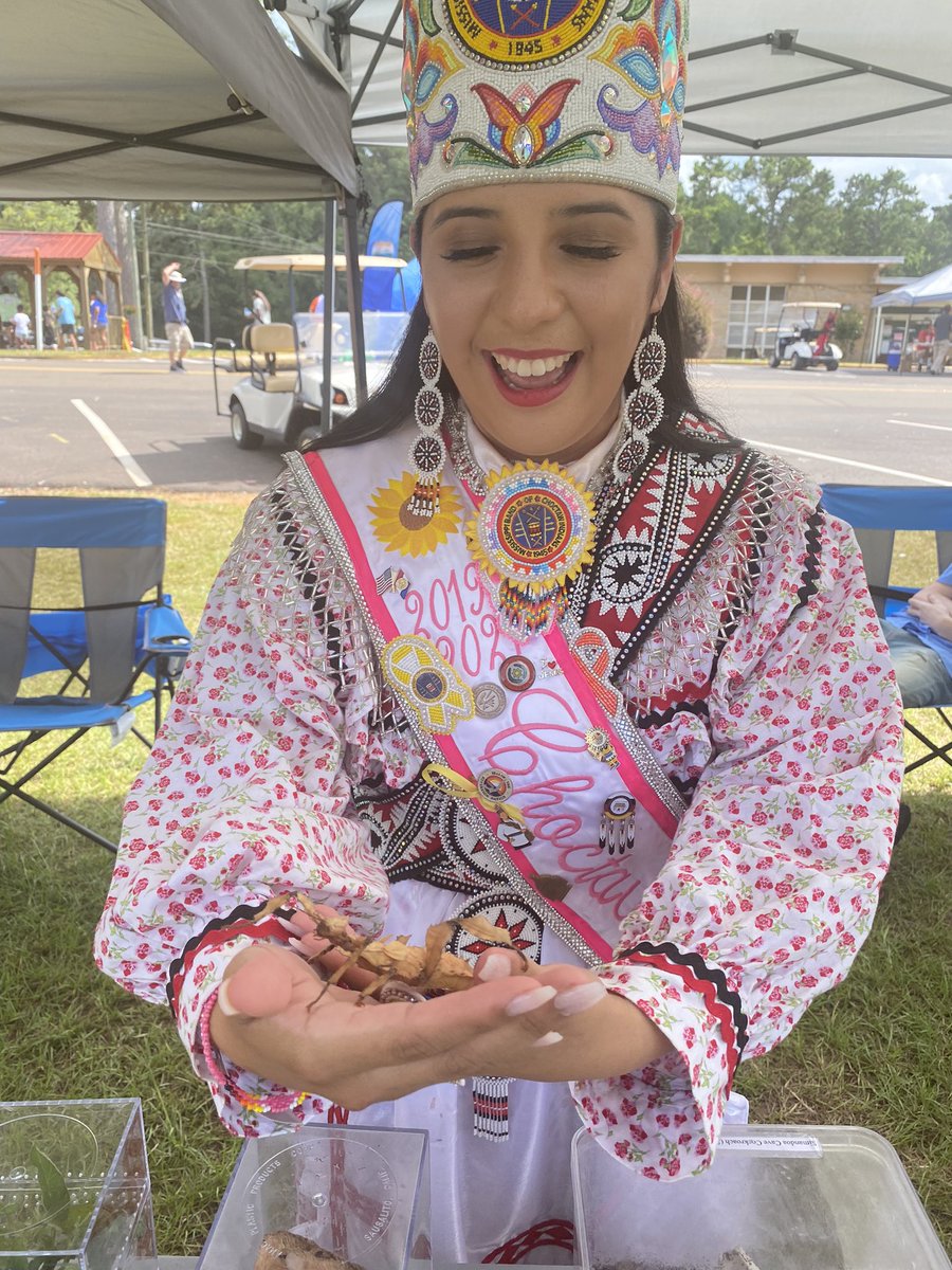 MSBugBlues's tweet photo. Our live insects are Princess-approved! We will have shows this afternoon and are here until 6pm! 👸🏻🦋🐞🐝
#MSBugBlues #ChoctawIndianFair #ChoctawPrincess #LiveInsects https://t.co/hoBPHEfOIJ