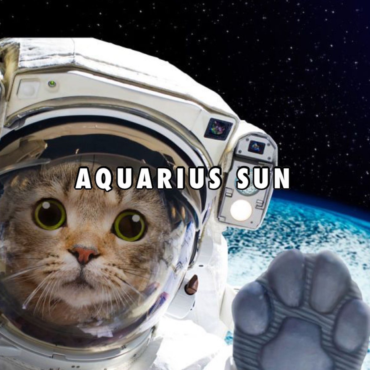 ZodiacBoyfriend's tweet image. here’s my big 3! what’s yours? ✨
all big 3 placements included!