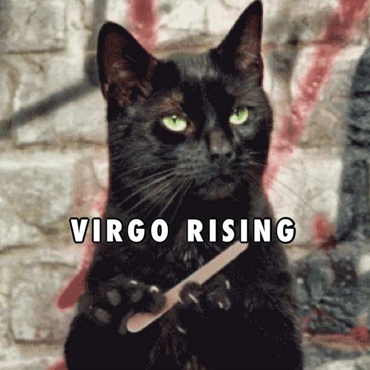 ZodiacBoyfriend's tweet image. here’s my big 3! what’s yours? ✨
all big 3 placements included!