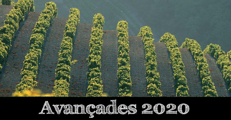 vilaviniteca's tweet photo. Rhône 2020 per Michel Tardieu al blog: “Una anyada paradoxal, singular, d’una exigència extrema!” #avan20 https://t.co/xI0uiiod5p https://t.co/D8zccnsnjC