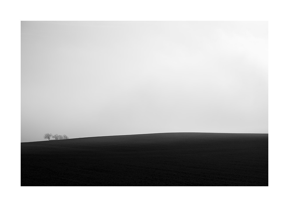 xaviermanrique's tweet photo. Solituds cercant horitzons de llum.

#breus #breusproject
#natura #nature #trees #mist
#poemavisual #bellesa #melangia
#misty #minimalism
#landscapephotography #naturephtography #fineartphotography 
#xmanrique https://t.co/WQIz2mupBy
