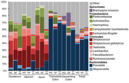 MucosalImmunol's tweet photo. Ilhem Messaoudi and colleagues @messaoudiLab use rhesus macaques to model diarrheal diseases and find reduced growth in early life is associated with a heightened systemic and mucosal inflammation and shifts in the microbiota. https://t.co/C0FFj5Gnci @nickrhoades32 @MarkSlifka https://t.co/4fFfnsjPQG