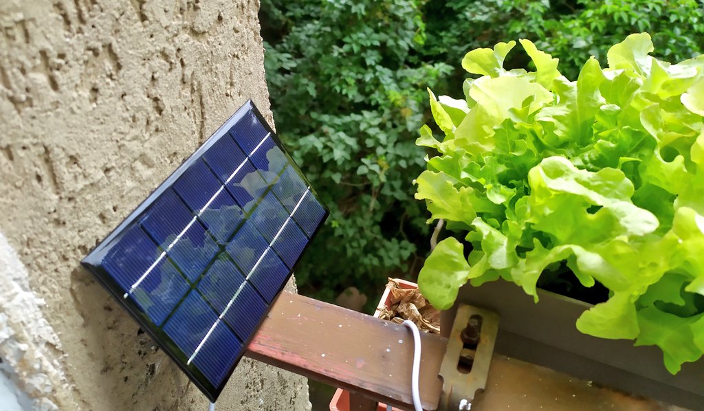 Time to have a bit more sustainable watering system for my "windows" lettuces  😃🐍🥗💚
#homeautomation #Sustainability #gardening #microcontrollers #Python