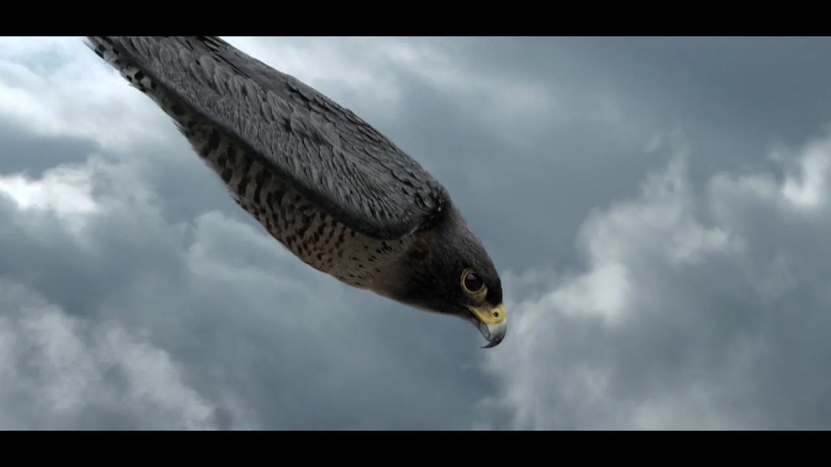 ASUS ROG Series Takes Flight in Full-CG Commercial. Tau Films created the look, animation, and VFX in this full-CG commercial for ASUS 2021 Republic of Gamers (ROG) Series.
#ASUS #ROG #ASUS_ROG #TauFilms
buff.ly/2VDBkDU