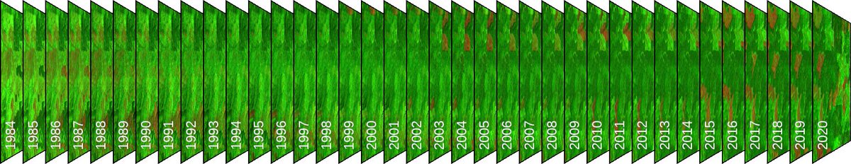 ...here is the static image