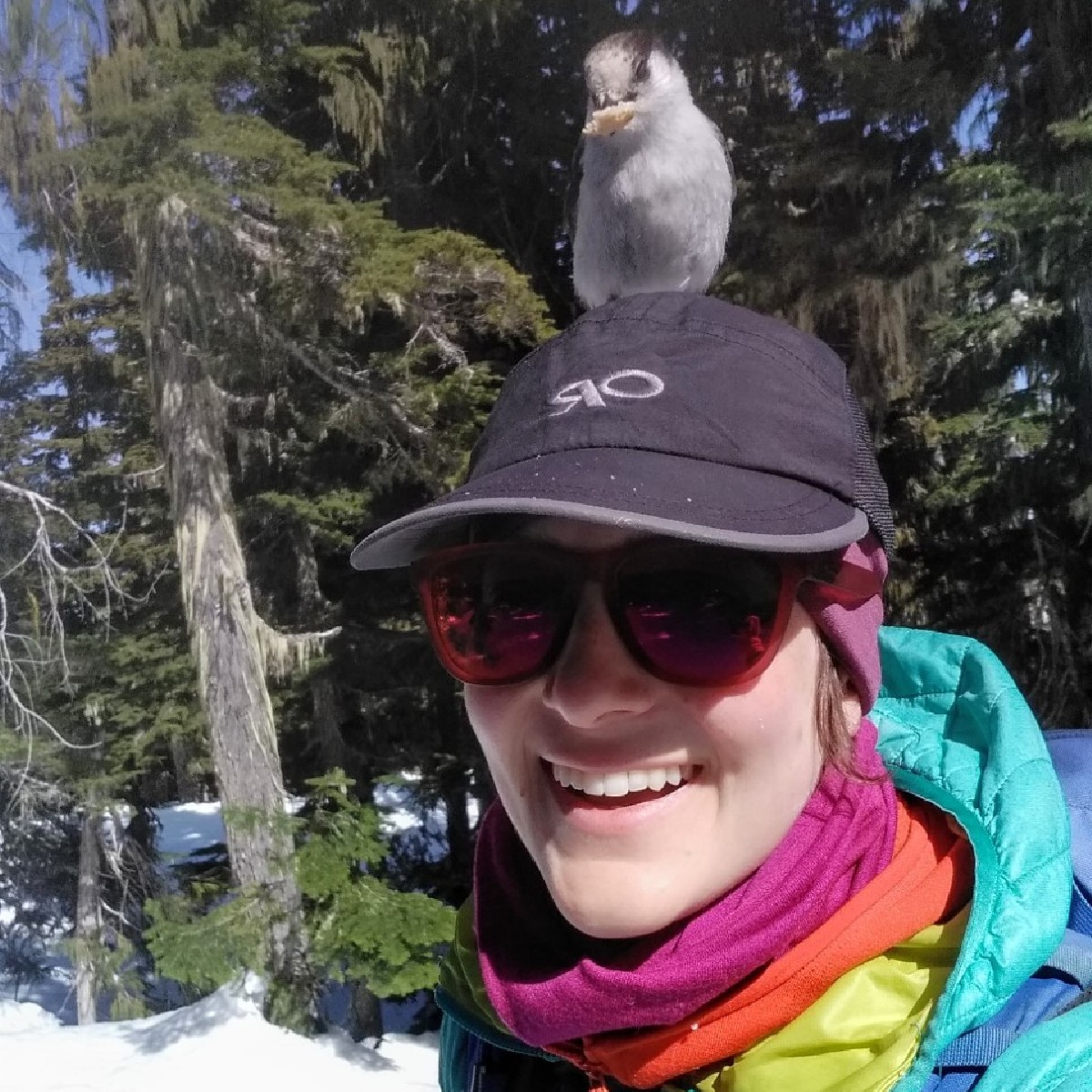 University of Guelph on Twitter "Congratulations to four UofG students who received the