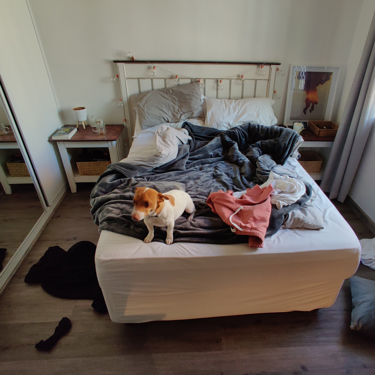 Instagram versus Reality \ My house edition 🤦‍♀️ Tag a friends in the comments who could do with a spring clean 😂

thezuppstore.com

#lifestyle #mood #cleaning #reality #realife #lockdownlife #lockdown #Masks #freedomdayUK